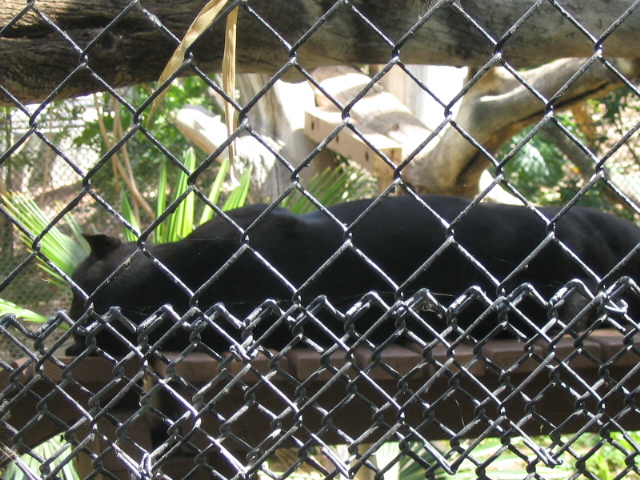 618x457 pixels (234K)